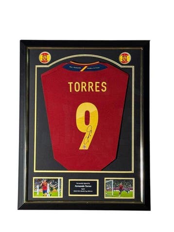 Spain - Wereldkampioenschap Voetbal - Fernando Torres - 2011, Nieuw