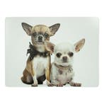 placemat chihuahuas 30x40cm (4)*, Verzenden, Nieuw
