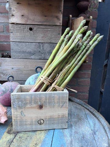 Decoratief ornament (4) - Europa - Decoratieve asperge, Antiek en Kunst