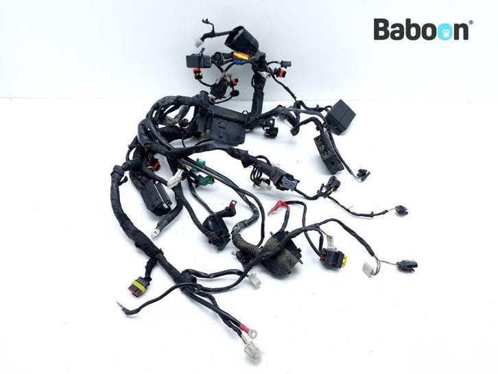Kabelboom Aprilia SMV 1200 Dorsoduro (SMV1200), Motoren, Onderdelen | Overige, Gebruikt, Verzenden