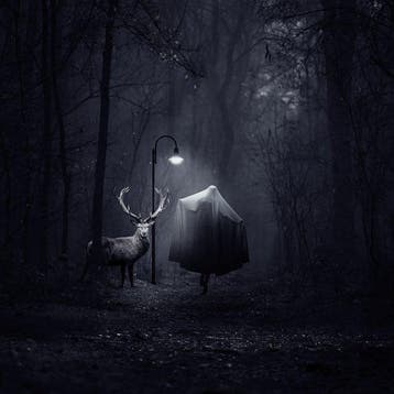 Jaqueline Vanek - The Ancient Sages I