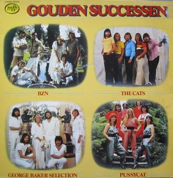 Gouden Successen, Cd's en Dvd's, Vinyl | Nederlandstalig, Gebruikt