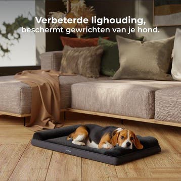 2dekans | CozySense® Orthopedisch Hondenkussen - 60 X 42 cm, Ophalen of Verzenden, Zo goed als nieuw