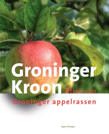Groninger Kroon - Rogier Verhagen 9789023259435, Verzenden, Zo goed als nieuw, Rogier Verhagen