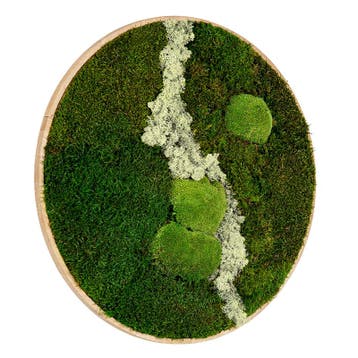 Vintlux Mosschilderij Rond 120 cm Ongelakt Eiken - Uppsala, Nieuw