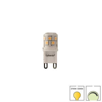 LED lamp G9 | 230 volt | 2.5 watt dimbaar | Dim to warm |, Verzenden, Nieuw, Overige typen