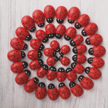 Houten Lieveheersbeestjes Decoratie Set - 5 Stuks - Miniatuu