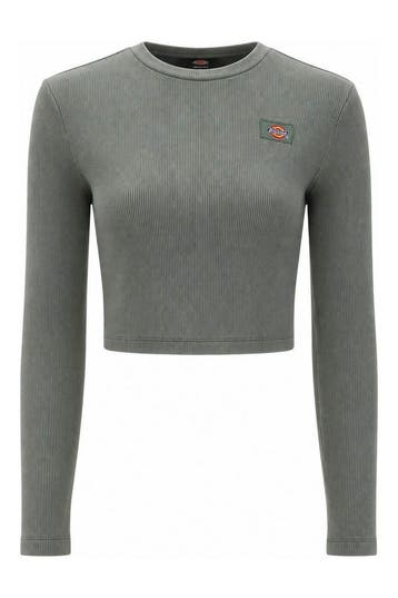 Dickies T-shirt in maat S Groen, Kleding | Dames, Dickies, Verzenden, Gedragen, Groen