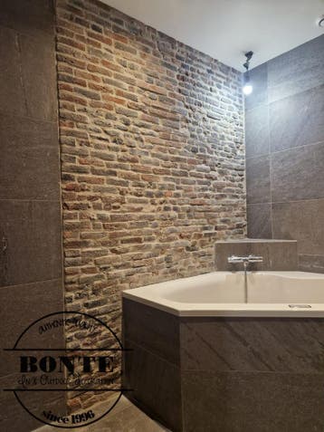 Plaats zelf een BONTE® steenstrip wand! Ruim assortiment., Ophalen of Verzenden, Nieuw