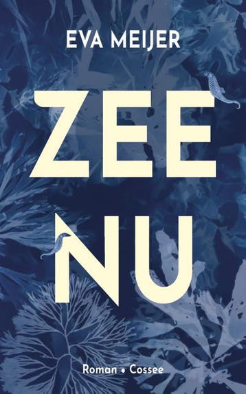 Zee Nu | Eva Meijer | Nieuw, Ophalen of Verzenden, Nieuw, Eva Meijer