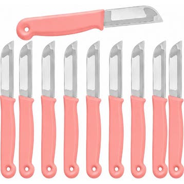 Solingen Schilmesje – RVS Glad – 16 cm met Blade Cover, Ophalen of Verzenden, Nieuw, Rvs of Chroom