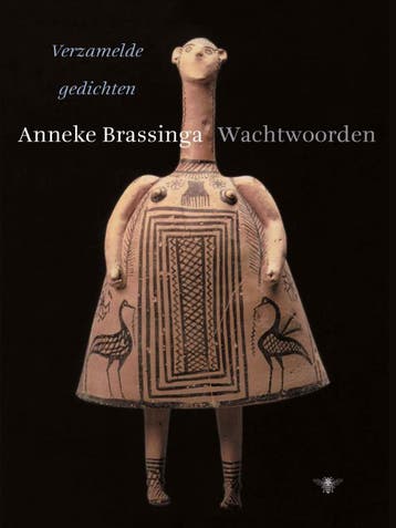 Wachtwoorden | Anneke Brassinga, Ophalen of Verzenden, Zo goed als nieuw, Anneke Brassinga