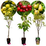 fruitbomen Appel Peer Kers + Pot 23cm 3 stuks, Verzenden, Volle zon