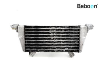 Oliekoeler BMW M 1000 R 2023 (M1000R KM3) (8356805), Verzenden, Gebruikt