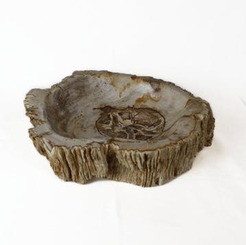 Versteend hout kom - Gefossiliseerd hout - Dipterocarpus - 8