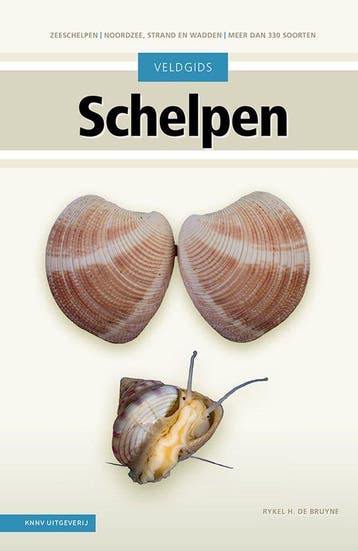 9789050119023 Veldgids - Veldgids Schelpen | Tweedehands, Verzenden, Zo goed als nieuw, Rykel de Bruyne