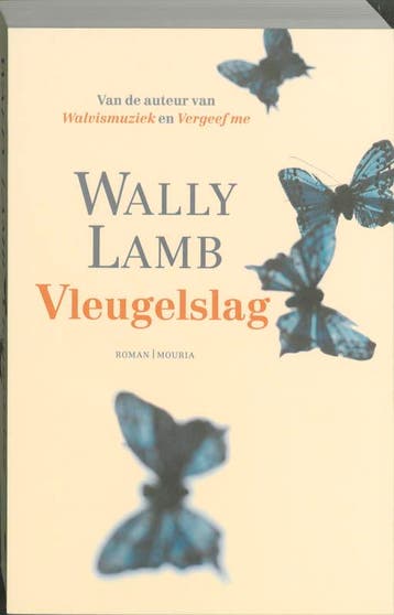 Vleugelslag - Wally Lamb 9789045800745, Verzenden, Gelezen, Wally Lamb