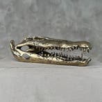 sculptuur, No Reserve Price - Polished Bronze Saltwater