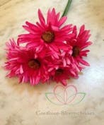 Aster Gerbera Fuchsia Foambloem Doos 30 stuks, Ophalen of Verzenden, Nieuw