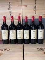 2024 Insoglio del Cinghiale - Toscane - 6 Flessen (0.75, Nieuw