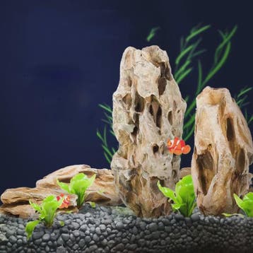 Natuurlijke Aquarium Decoratie Stenen - Microporeus & Plantv, Verzenden, Nieuw