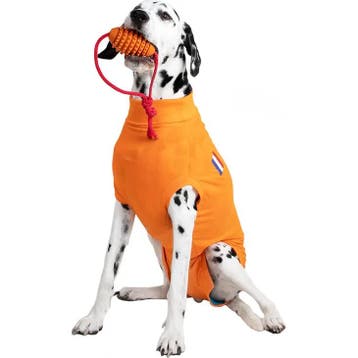 Medical Pet Shirt Hond Oranje - XXXS (Hondenmanden & Bedden), Verzenden, Nieuw