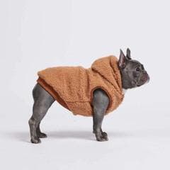 Hondenjas Teddy bruin (Jassen, Hondenkleding), Ophalen of Verzenden, Nieuw, Hondenjas