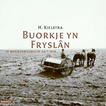 Buorkje Yn Fryslân | H. Kielstra; F. Kielstra | Nieuw, Ophalen of Verzenden, Nieuw, H. Kielstra; F. Kielstra
