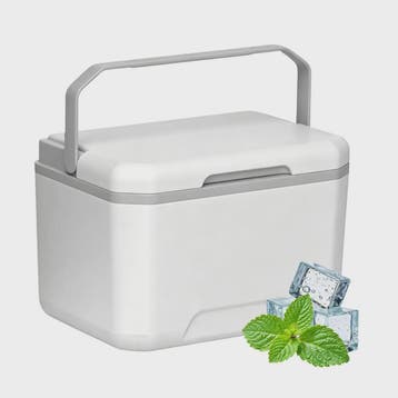 Draagbare Camping Koelbox 5L met Handvat - Geïsoleerd en Lek, Verzenden, Nieuw