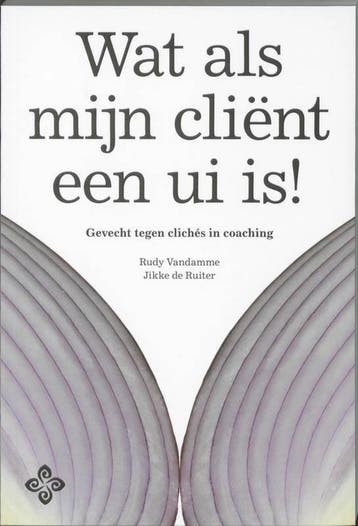 Wat als mijn client een ui is? - Jikke de Ruiter, Boeken, Verzenden, Zo goed als nieuw, Jikke de Ruiter