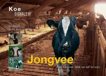 Jongvee / Koesignalen 9789075280661 B. Klein Swormink, Boeken, Verzenden, Gelezen, B. Klein Swormink