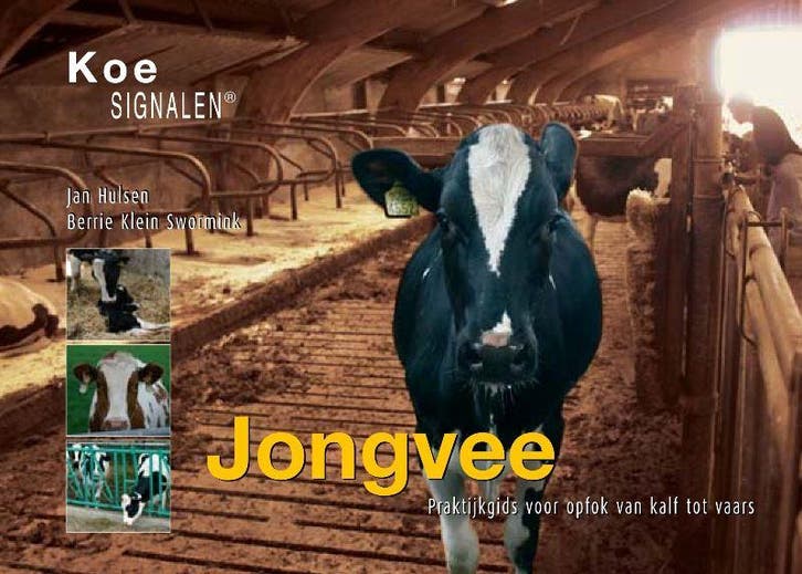 Jongvee / Koesignalen 9789075280661 B. Klein Swormink, Boeken, Wetenschap, Gelezen, Verzenden