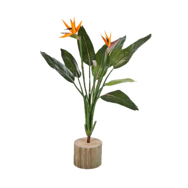 Green Bubble - Strelitzia Reginae Kunstplant - 100cm - Ø, Huis en Inrichting, Woonaccessoires | Kunstplanten en Kunstbloemen, Nieuw