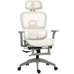 Bureaustoel, Ergonomische Bureaustoel Met Netstof Bekleding,, Verzenden, Nieuw