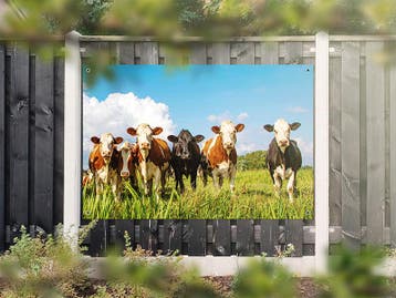 NR 1302: Tuinposter bonte koeien in wei 120x180cm, Nieuw