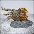 Natuurlijke ammoniet verbonden met meesterlijke Kunst-