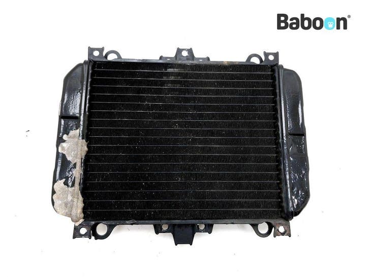 Radiateur Kawasaki KLE 500 2005-2007 (KLE500 KLE500B), Motoren, Onderdelen | Kawasaki, Gebruikt, Verzenden