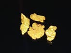 De zeldzame gouden parel uit Lapland Goud nuggets- 0.5 g -