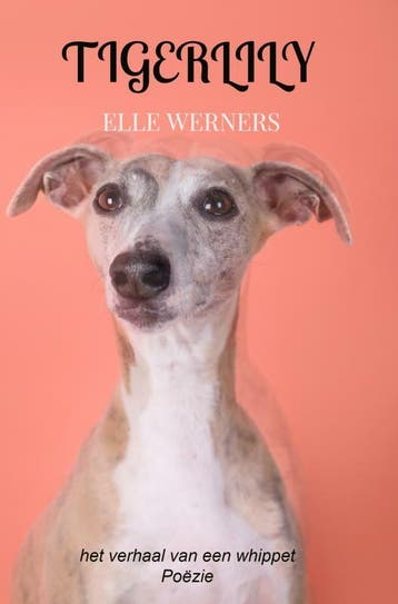 TIGERLILY - Elle Werners 9789403709628, Verzenden, Zo goed als nieuw, Elle Werners