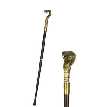 AN ALUMINIUM WALKING STICK (Beeldjes - Decoratie, Interieur), Verzenden, Nieuw