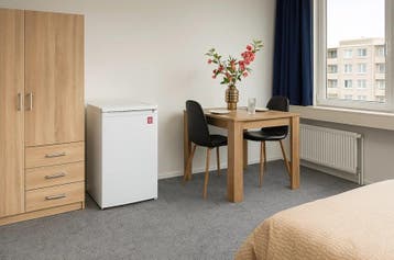 Te huur: Kamer Polakweg in Rijswijk