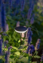 Inlite 12V tuinverlichting buitenverlichting Scherpe prijzen, Tuin en Terras, Buitenverlichting, Bewegingssensor, Minder dan 50 watt