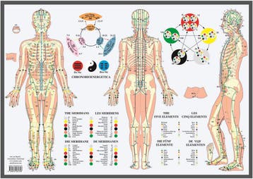 Anatomie poster meridianen en vijf elementen (NL, EN, DU..., Nieuw