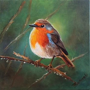 Tomasz Bednarski (1965) - Robin in the morning dew