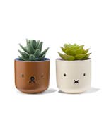 HEMA Nijntje bloempotjes - 2 stuks, Verzenden