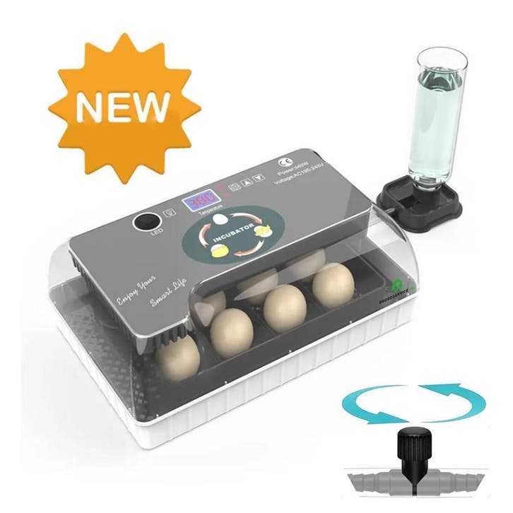 SALE - Expert Automatische Broedmachine + Gratis Broedeieren, Dieren en Toebehoren, Pluimvee | Toebehoren, Broedmachine, Nieuw