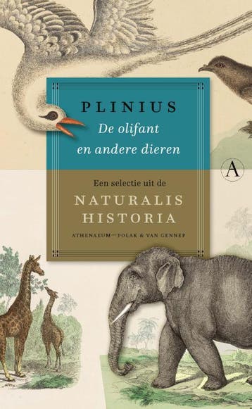 De Olifant En Andere Dieren | Plinius | Nieuw, Boeken, Ophalen of Verzenden, Nieuw, Plinius