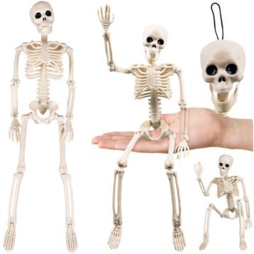 Ruhhy Skelet decoratie 40 cm met beweegbare armen en bene..., Ophalen of Verzenden, Nieuw