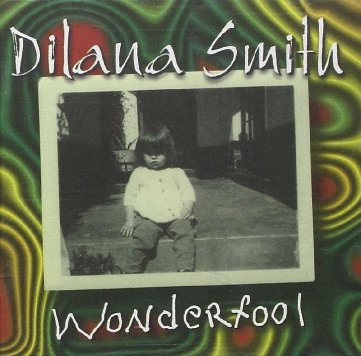 cd - Dilana Smith - Wonderfool, Cd's en Dvd's, Cd's | Overige Cd's, Zo goed als nieuw, Verzenden