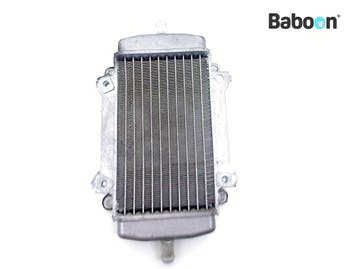 Radiateur Piaggio | Vespa GT 125 L Granturismo 2003-2004, Verzenden, Gebruikt